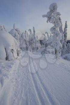 Ski Stock Photo