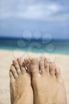 Royalty Free Photo of a Woman's Feet on the Beach