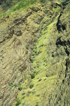 Royalty Free Photo of an Aerial View of Lush Rain Forest on Maui, Hawaii