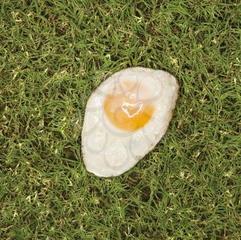 Royalty Free Photo of a Fried Egg in Grass