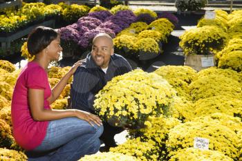 Royalty Free Photo of a Couple Picking Flowers at an Outdoor Plant Market