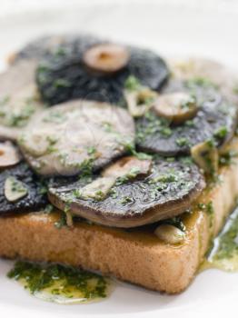 Royalty Free Photo of a Garlic Field Mushrooms on Toast With Parsley Butter