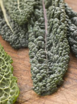 Royalty Free Photo of Savoy Cabbage Leaves