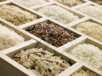 Royalty Free Photo of a Selection of Rices