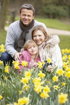 Royalty Free Photo of a Family in a Group of Daffodils