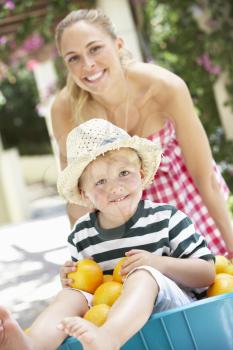 Mother Pushing Son In Wheelbarrow Filled With Oranges