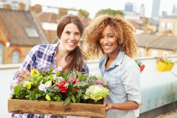 Two Women Holding Box Of Plants On Rooftop Garden