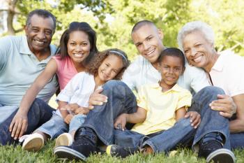 Multi Generation African American Family Relaxing In Park