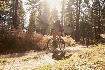 Two cyclists biking on a forest trail, backlit, back view