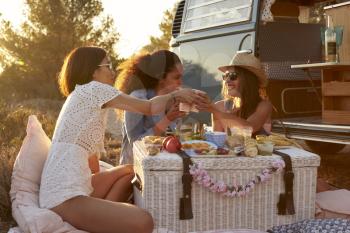 Three female friends make a toast at a picnic
