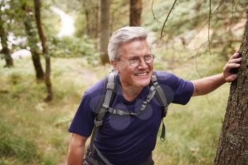 Middle aged Caucasian man taking a break during a hike, leaning on a tree in a forest, waist up