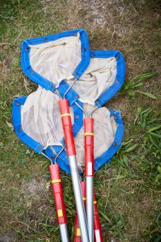 Fishing Nets For Exploring Pond Life At Childrens Outdoor Activity Center
