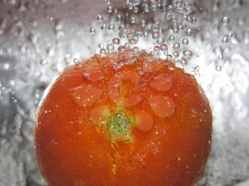 Freshly washed tomato