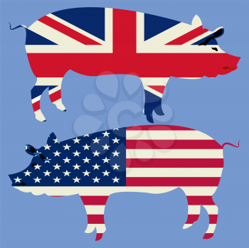 Brittish and American, stylized flags with pig silhouette