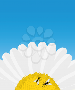 Decorative Daisy flower and bees over blue with room for text