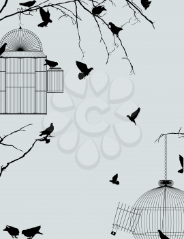 Birds and birdcages postcard design