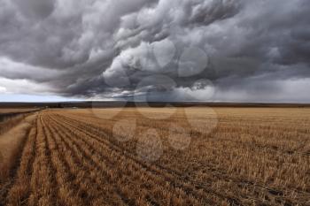 Royalty Free Photo of a Field in Montana