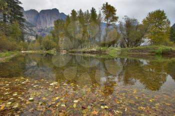 The mountain shallow lake which has been fallen asleep by yellow leaves