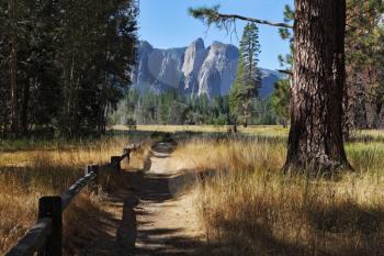 Lovely shady path in Yosemite National Park. In the background - the famous granite rock monoliths