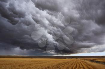 Thunderstorm above fields after harvesting. Montana, the USA