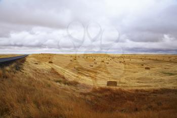 Huge fields of state of Montana after harvesting and road