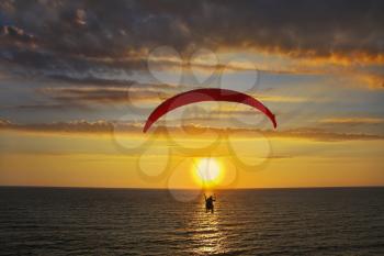 Operated parachute above the sea on a sunset