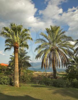  It is delightful beautiful park in monastic to a garden at lake Kinneret