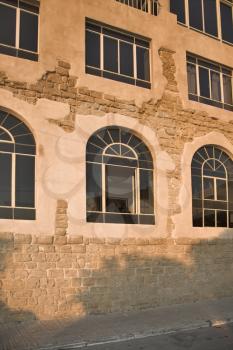  Glasses of a beautiful facade of an ancient building sparkling on a sunset and a black dog sitting in a window.