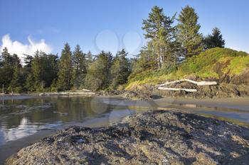  A huge sandy beach at Pacific coast of Canada