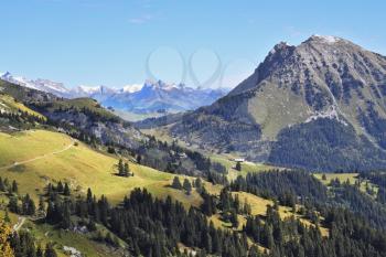 Green meadows and pine forests on the mountain slopes. Gorgeous weather in the Swiss Alps. 