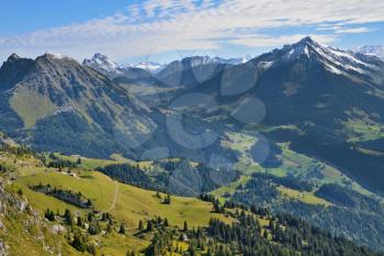 Gorgeous weather in the Swiss Alps. Green meadows and pine forests on the mountain slopes