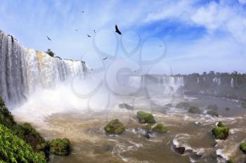 Waterfalls and birds in Brazil. Black Andean condors fly over the foamy waterfalls of Iguazu. The picture was taken Fisheye lens