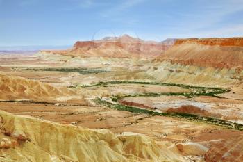 Negev Desert. Creek meanders through the picturesque wilderness and marked bright green vegetation