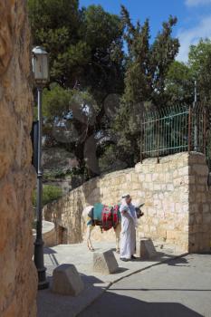 An elderly Arab in a white national dress and a white donkey posing for tourists. Jerusalem, the Christian Quarter

