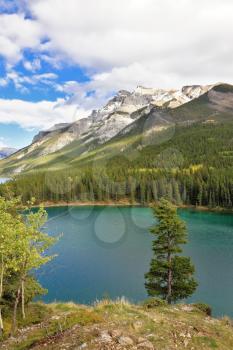 Early autumn in the Rocky Mountains of Canada.  Brilliant turquoise Bow Lake and the picturesque mountain