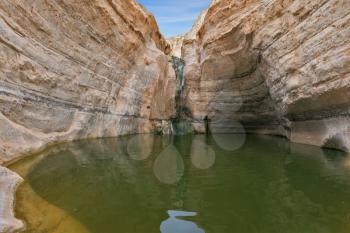 Unique canyon in the desert. Picturesque canyon Ein-Avdat in the Negev desert. Clean cold water in the creek canyon. Sandstone walls apart, like butterfly wings
