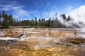 Boiling geothermal geyser  in Yellowstone Park