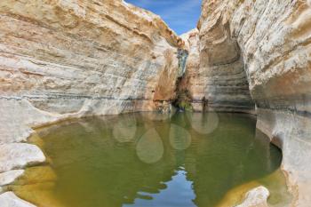 Canyon Ein Avdat in Israel. Sandstone canyon walls form round bowl. Thin jet waterfall form cold lake