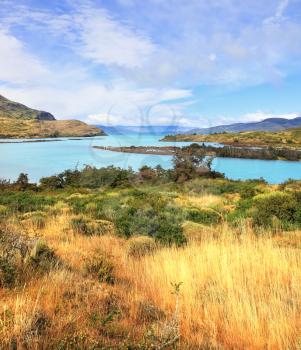 Cold summer in Chile. The National Park Torres del Paine - emerald-green water of the river among the bright yellow grass bank