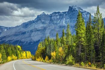  Majestic mountains and glaciers on the background of cloudy sky. Bright yellow aspen and birch beside the road. Canadian Rockies, Banff National Park in the autumn