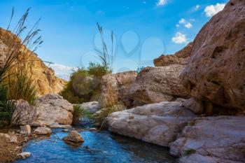 Wonderful Middle Eastern landscape. The stream of cold pure water flows through the beautiful gorge Ein Gedi, Israel