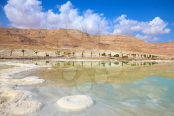 Shores of the Dead Sea in Israel. Path of evaporated salt. Along the shore with palm trees, which are reflected in the water