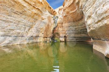 Sandstone canyon walls form round bowl. Thin jet waterfall form cold lake. Canyon Ein Avdat in Israel