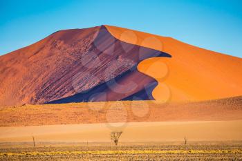 Fancifully curved sharp crests of orange dunes. Travel to Namibia. Namib-Naukluft National Park