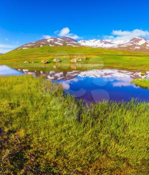 Summer Iceland. Blue lake water reflects snow hills. Fields grew with  fresh green grass