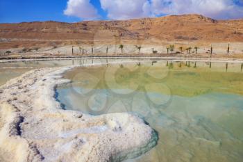 Salt formed a long track in the Dead Sea. Along the coast passes palm alley. Israel in October