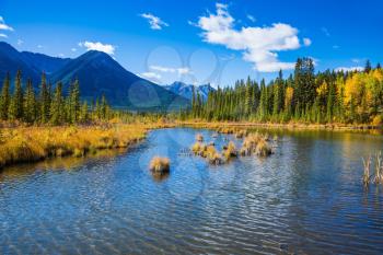  Shallow Lake Vermilion among the mountains and forests. Indian summer in the Rocky Mountains of Canada