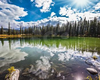 Small shallow lake surrounded by pine forest. The mirror surface of water reflects the cloudy sky. Autumn day in Jasper  National Park in the Rocky Mountains 