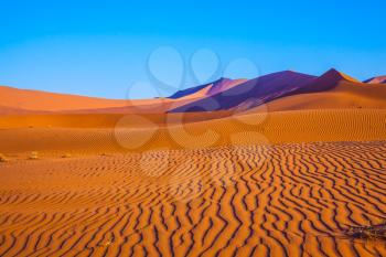 The dunes and sandy orange waves. Travel to Namibia. Namib-Naukluft National Park