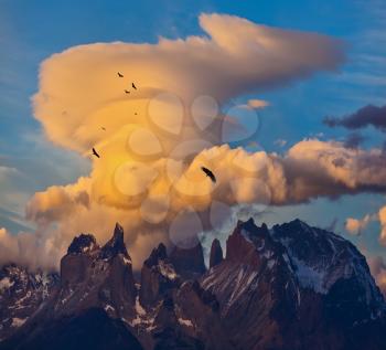 Incredible sunset in the national park Torres del Paine, Chile. Sharp curved peaks rocks Los Quernos. Under the clouds flying flock of Andean condors